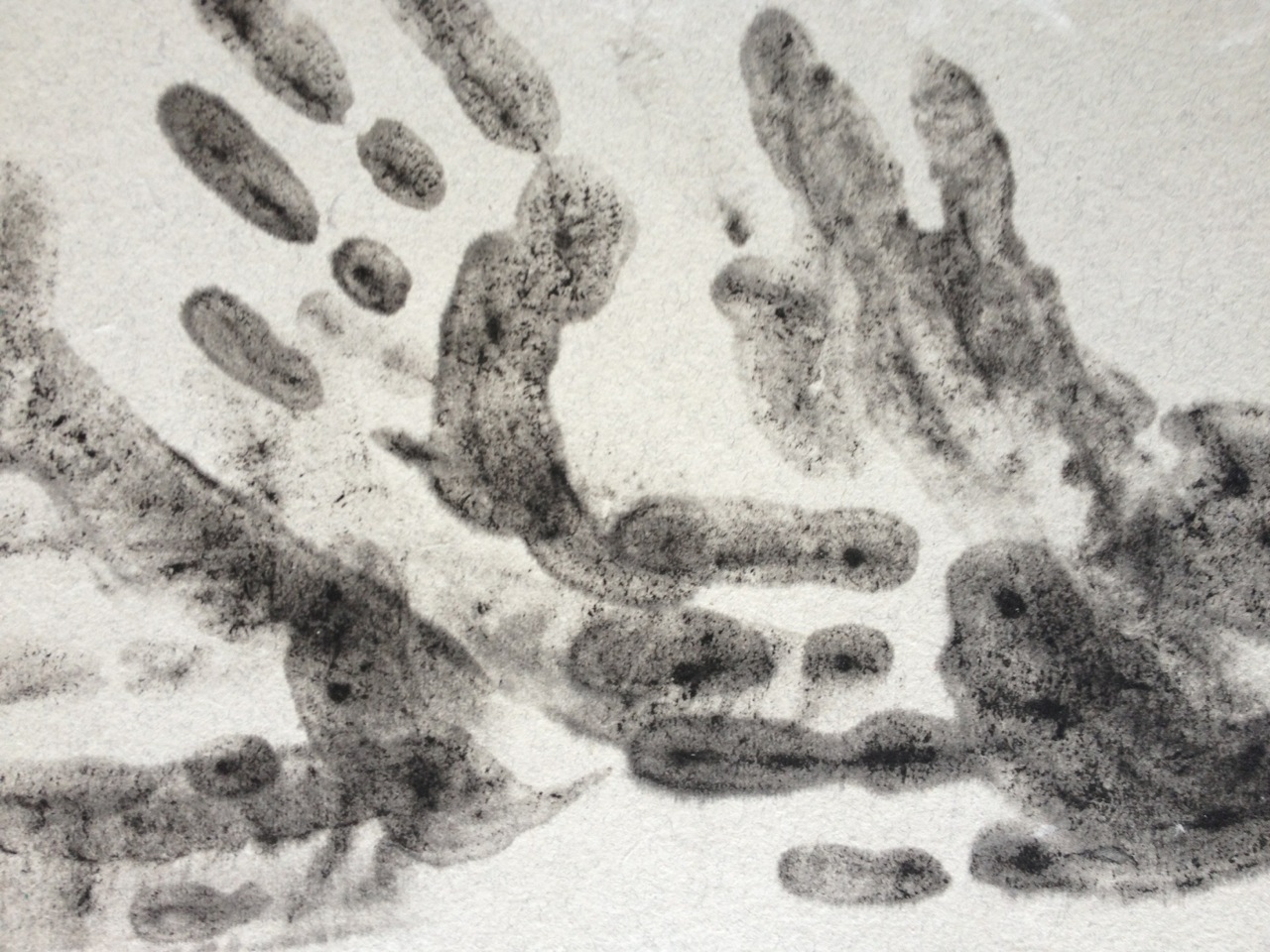 MillsPulpPrint5